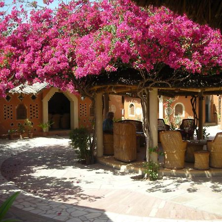 Apani Dhani Eco-Lodge Nawalgarh Exterior foto