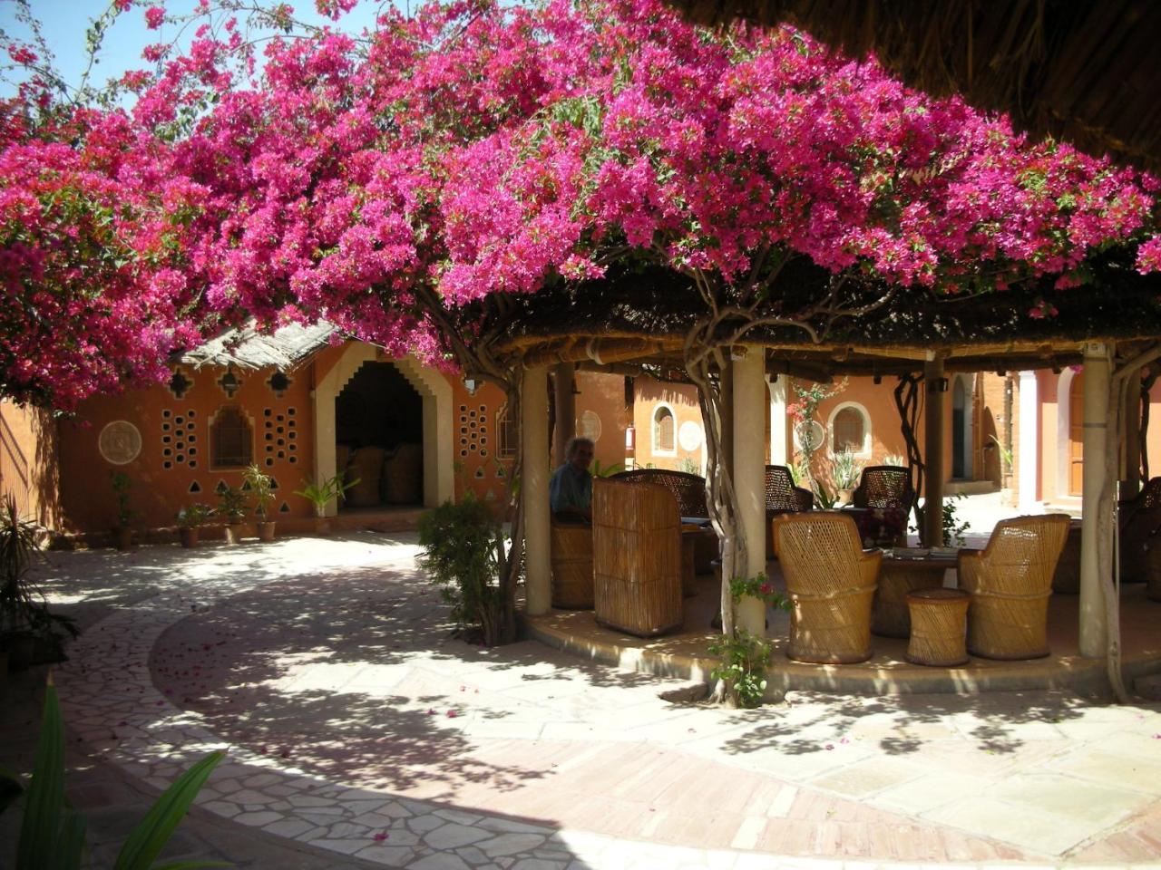 Apani Dhani Eco-Lodge Nawalgarh Exterior foto