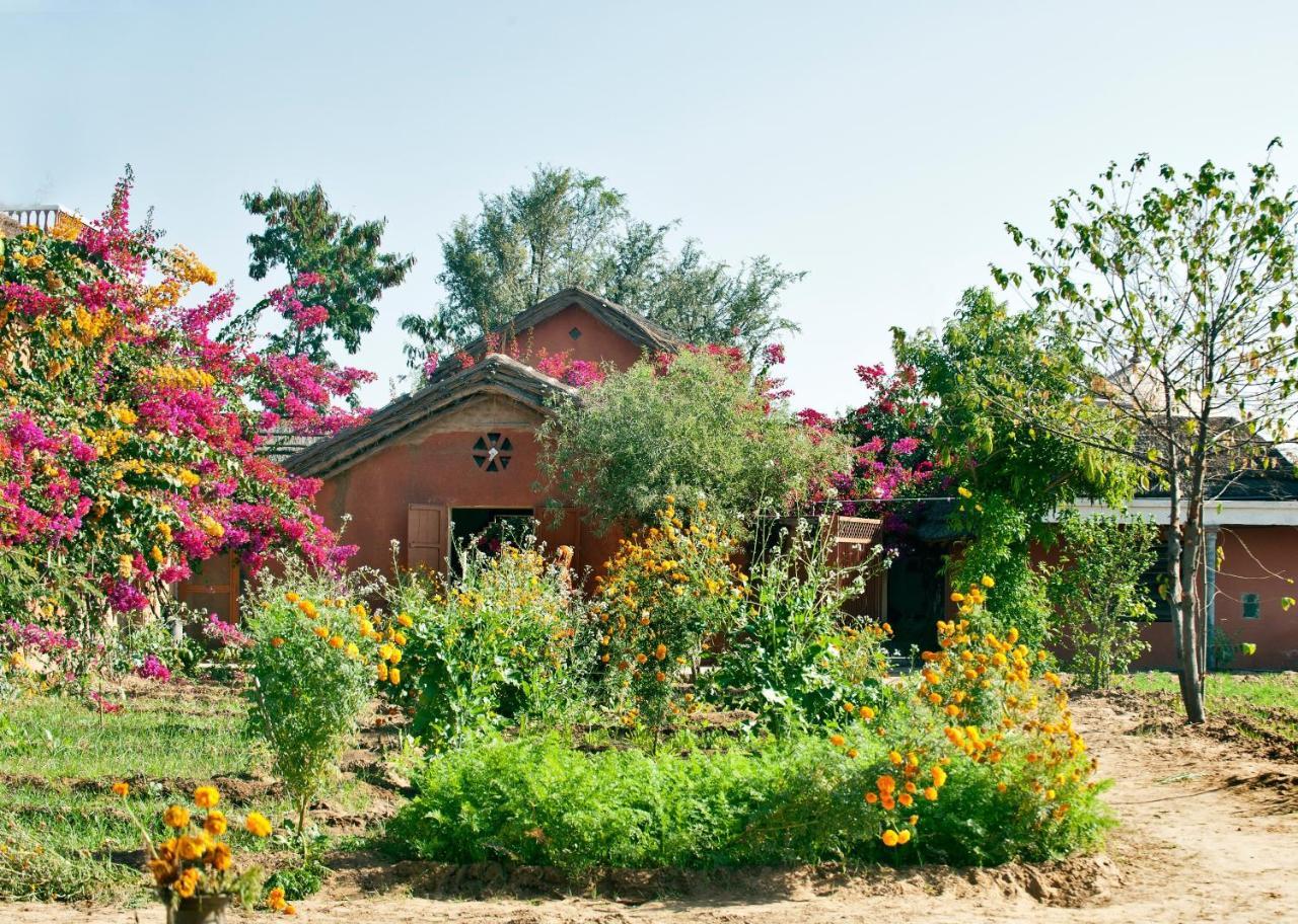 Apani Dhani Eco-Lodge Nawalgarh Exterior foto